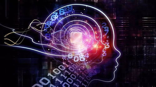 軟件測(cè)試中的人工智能 基礎(chǔ)軟件開發(fā)與AI融合